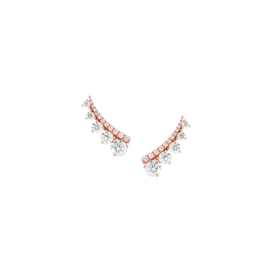 Pair of rose gold and silver earrings on a white background